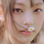 고양이상 뉴진스 해린 <b>사진털</b>