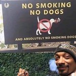 담배 피는 개 출입금지