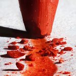 <b>흥미</b>로운 매크로 사진 속 실체들