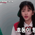 아이브 <b>유진</b> 예능짤 모아봄
