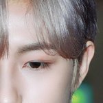 쌍수 참고할 연예인 눈 사진 둘 중에 하나 골라<b>주</b><b>셈</b>
