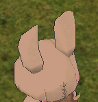 [레이] 베리레드톡)