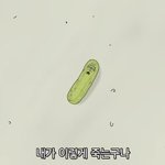 [댓글부탁해] 고3인데 사는게 넘 지친다