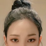 쌍수 참고용 사진 이 둘은 어떰