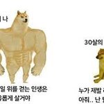 [19] 근데 대학이 인생의 전부는 맞음