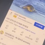<b>개</b>노<b>잼</b>인 애들 있음?
