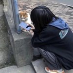 [<b>뷰티</b>] 트위터하는 애들 패션 특징