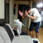 트위터에 강릉 미사일 쳐<b>보</b><b>셈</b>