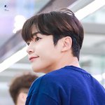 귀공자의 <b>등장</b>