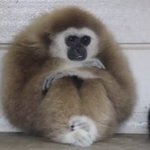 [드루와] 키 작으니까 걍 <b>개초</b>딩같다 현타옴