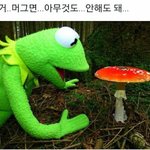 ㄹㅇ 안유명해서 논란안되는 유투버