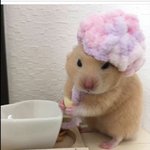 인스타가 아예 안돼...