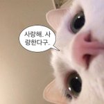 [드루와] 혼자다니는거 진짜 힘들긴함