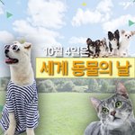 [댓글부탁해] 선생님한테 우울증 있는거 말하면 안됨?