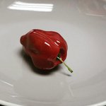 아니 진짜 디저트 <b>맞음</b>