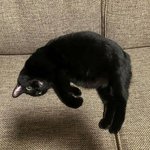 순간포착! 절묘한 <b>찰나</b>