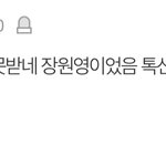 장원영 <b>팬들</b>은 다른 <b>돌</b>들 까이는 글마다