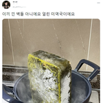 이끼 낀 <b>벽돌</b> 아니에요