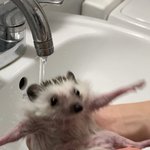 만화나 애니 ㅊㅊ좀