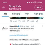 [스키즈] 인트로 <b>맥시</b>던트