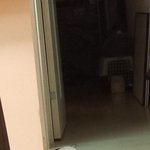 고양이처럼 안보이지만 고양이 맞습니다