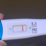 [19] 임테기좀봐조ㅠ