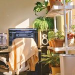 스테이씨 <b>윤이</b> 주사위 심하게 타긴해