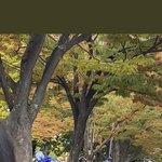 진짜 <b>파랑</b>군단이네