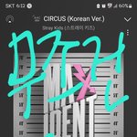 [스키즈] 진짜