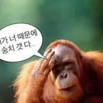 [ㅈㄱㄴ] 환승연애 얘기 좀 작작하면 안됨?