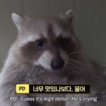 [드루와] 동성애 ㄱㅊ은데 비엘 싫어하는사람 없냐