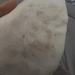 너네 <b>포도</b>먹을때 꼭 닦아서 먹어..