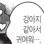 [댓글부탁해] 잇프제랑 <b>엔팁</b> 안맞는 이유 좀