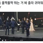 [방탄소년단] 사랑스러워ㅠㅠ