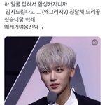 [NCT드림] 내가 본 고양이 중 <b>제일</b> 귀여움