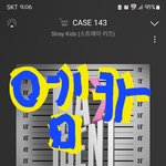 [스키즈] 무슨