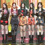 다리 예쁠려면 무릎이 얇아야됨(+엔믹스 <b>릴리</b>)