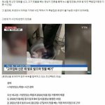 조선족 때문에 망한 <b>점주</b> 부부