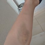 폭력 남동생  방송을 타야 할까요...?(혐오주의)