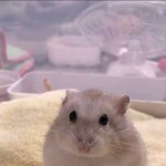 [드루와] <b>시냇물</b>은 졸졸졸졸~