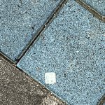 [19] 인스타 <b>비계</b> 스토리에ㅜㅠ
