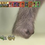 [댓글부탁해] 야 <b>강동구</b> 사는 애들 와봐 ㅃㄹ