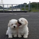 해차나 <b>정우</b>야 잘자