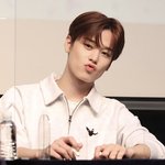 주연시