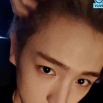 코가 ㅈㄴ이쁨