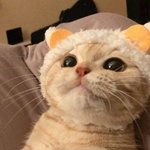이런식으로 콧볼이 넓은 코는 <b>쉐딩</b> 어케함..?