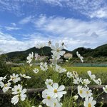 [댓글부탁해] !!!!!!여행 왔엉!!!!!!