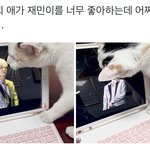 [NCT드림] 역시 <b>재민</b>이는 고양이가 맞다 얘들아