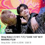 [스키즈] 스테이들 투표땜에 바빠서