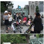 한국이 절대 일본을 따라할 수 없는 거